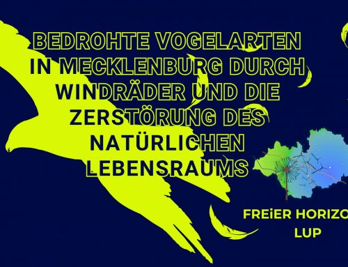 Bedrohte Vogelarten in Mecklenburg durch Windräder und die Zerstörung des natürlichen Lebensraums